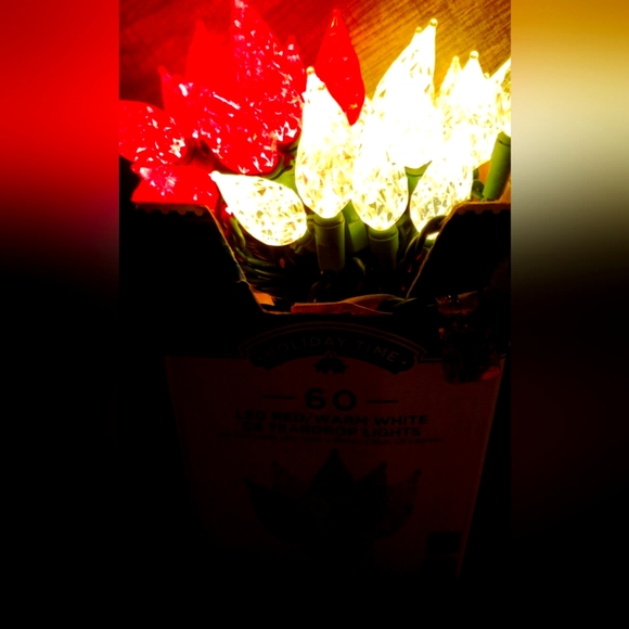 Holiday Lights Indoor & Outdoor LED Red/Warm White - Picture 3 of 8